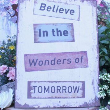 Deko Blechschild Believe In The Wonders Of Tomorow