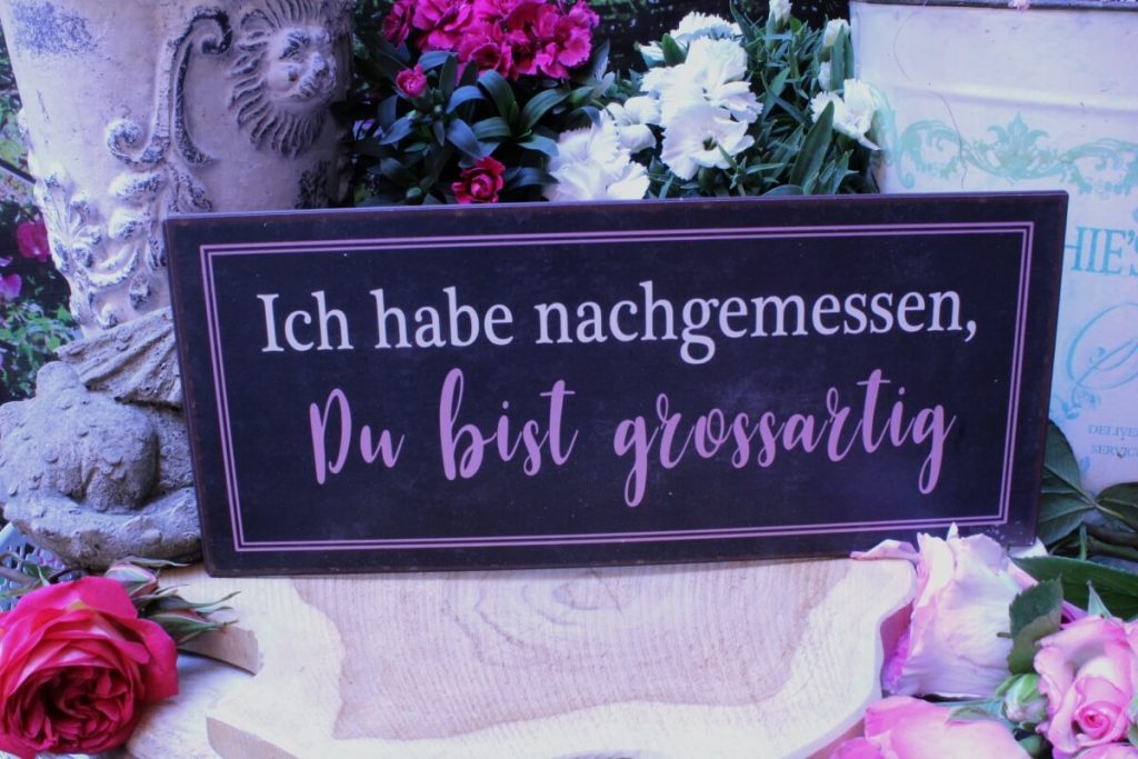 Deko Blechschild Lebenssprüche Aufhänger Ich habe nachgemessen, Du bist großartig