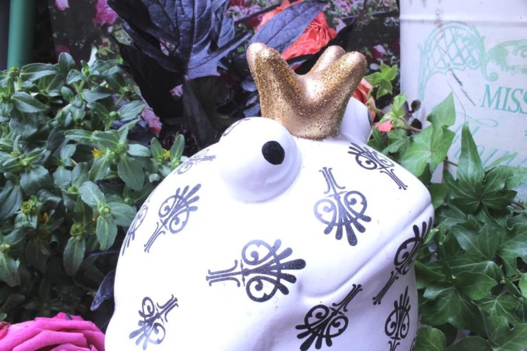 Pomme Pidou Spardose Frosch Freddy Black & White Symbole