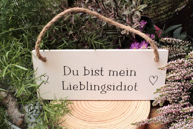 Deko Holzschild Coole Designs Du bist mein Lieblingsidiot