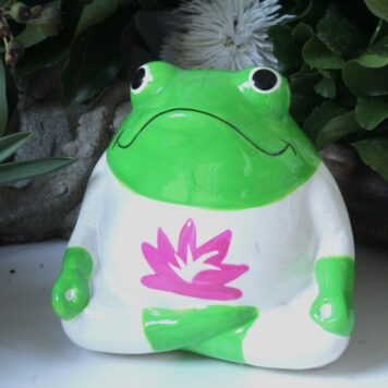 Pomme Pidou Spardose Frosch Freddy Yogi