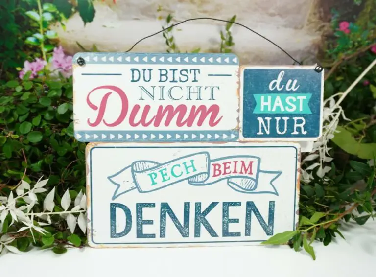 Deko Blechschild Du Bist Nicht Dumm du Hast Nur Pech beim Denken