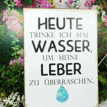 Deko Blechschild Heute trinke ich mal Wasser um meine Leber zu überraschen.,