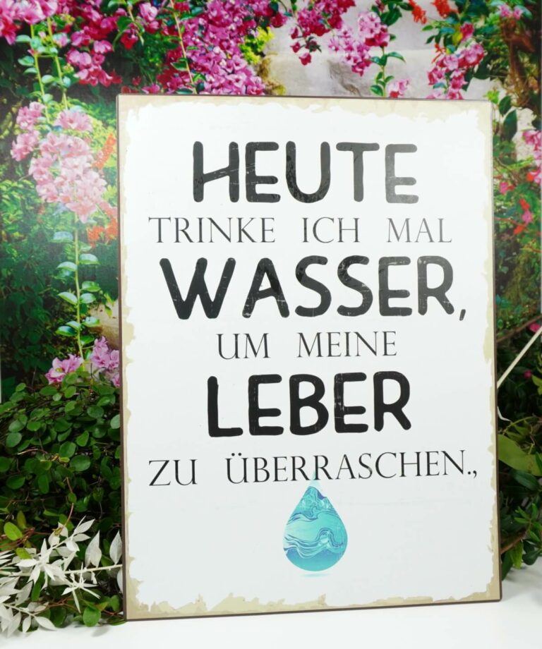 Deko Blechschild Heute trinke ich mal Wasser um meine Leber zu überraschen.,