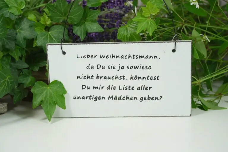 Deko Blechschild Lieber Weihnachtsmann, da du sie ja sowieso nicht brauchst, könntest du mir die Liste aller unartigen Mädchen geben