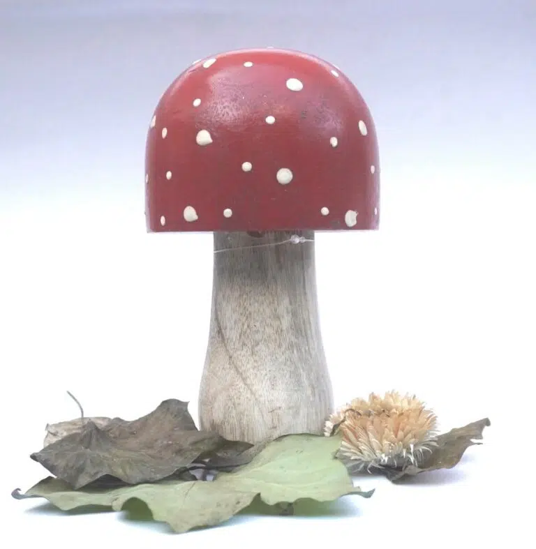 Deko Pilz Holz Fliegenpilz Natur Herbstdeko