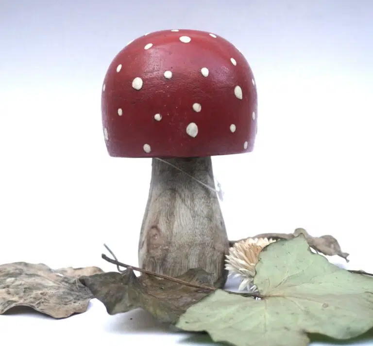 Deko Pilz Holz Fliegenpilz Natur Herbstdeko Klein
