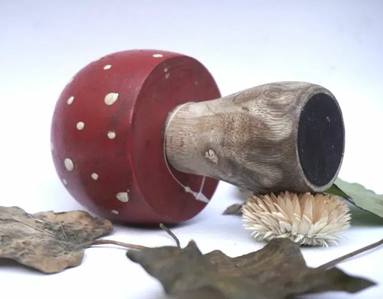 Deko Pilz Holz Fliegenpilz Natur Herbstdeko Klein