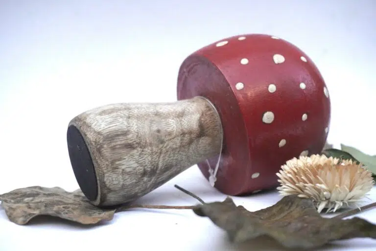 Deko Pilz Holz Fliegenpilz Natur Herbstdeko Klein