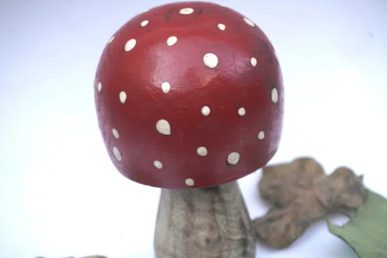 Deko Pilz Holz Fliegenpilz Natur Herbstdeko Klein