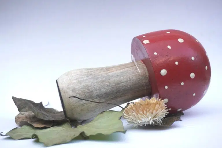 Deko Pilz Holz Fliegenpilz Natur Herbstdeko