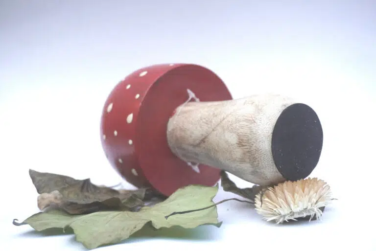 Deko Pilz Holz Fliegenpilz Natur Herbstdeko