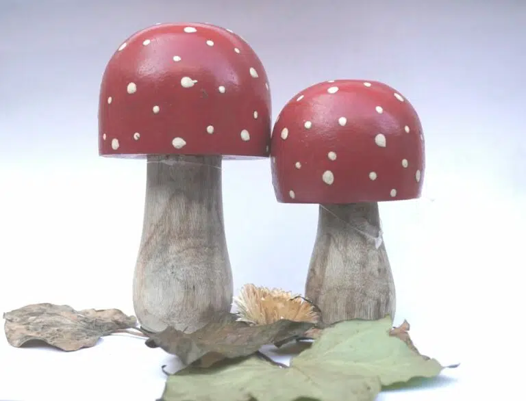 Deko Pilz Holz Fliegenpilz Natur Herbstdeko