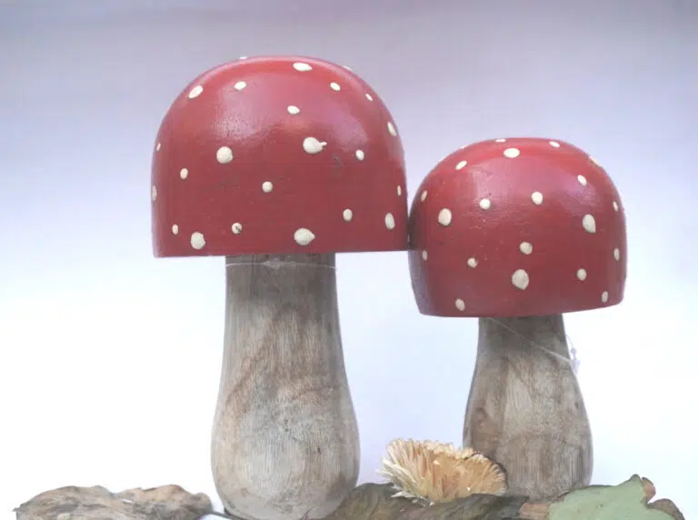 Deko Pilz Holz Fliegenpilz Natur Herbstdeko