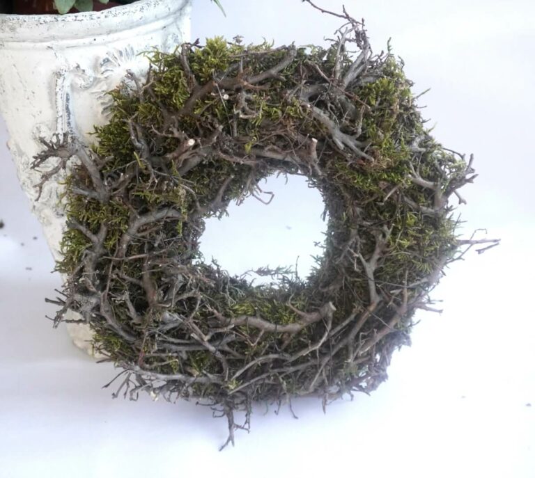 Herbstkranz Mooskranz grün mit Ästen getrocknet 25 ∅