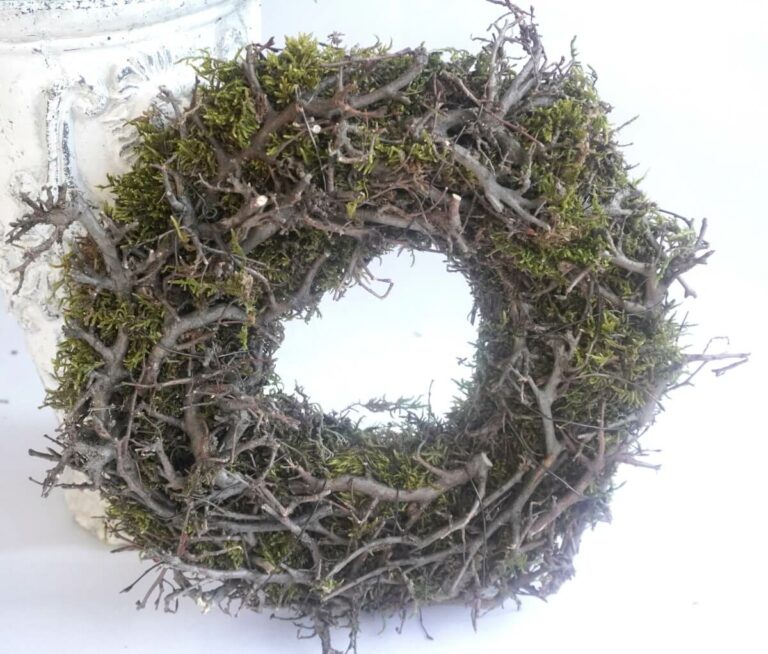 Herbstkranz Mooskranz grün mit Ästen getrocknet 25 ∅
