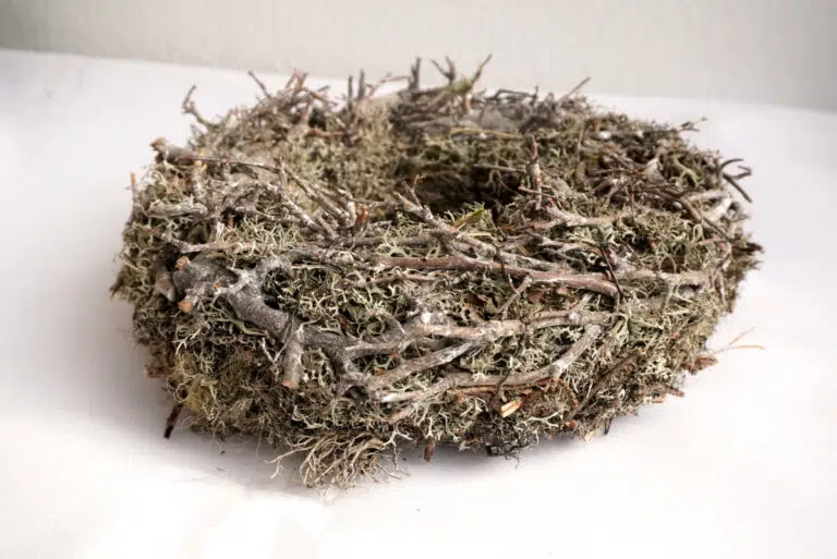 Herbstkranz Mooskranz mit Ästen Grau getrocknet