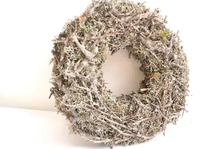 Herbstkranz Mooskranz mit Ästen Grau getrocknet