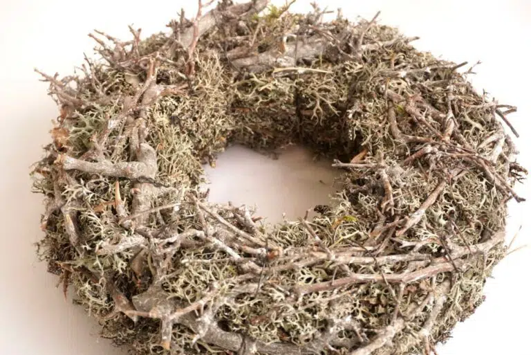 Herbstkranz Mooskranz mit Ästen Grau getrocknet