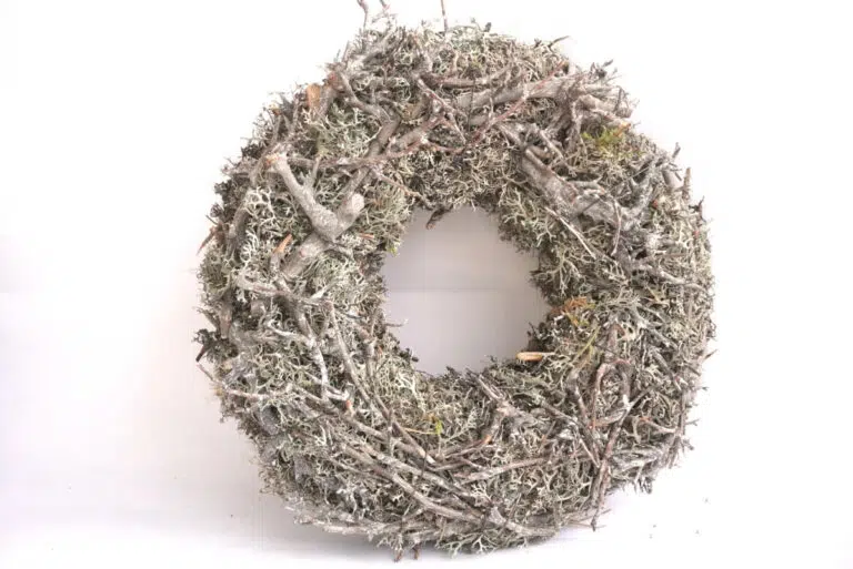 Herbstkranz Mooskranz mit Ästen Grau getrocknet