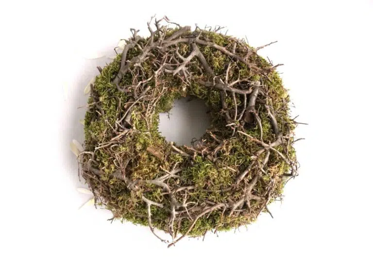 Herbstkranz Mooskranz mit Ästen getrocknet
