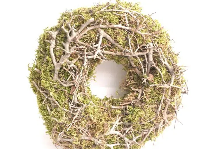 Herbstkranz Mooskranz mit Ästen getrocknet