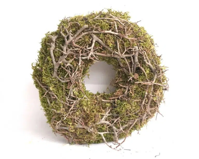 Herbstkranz Mooskranz mit Ästen getrocknet