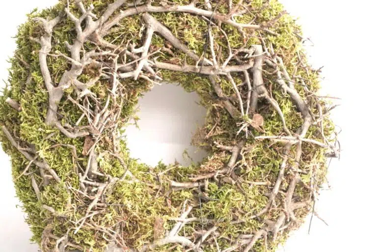 Herbstkranz Mooskranz mit Ästen getrocknet