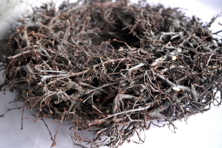 Herbstkranz Reisigkranz getrocknet Braun 30∅