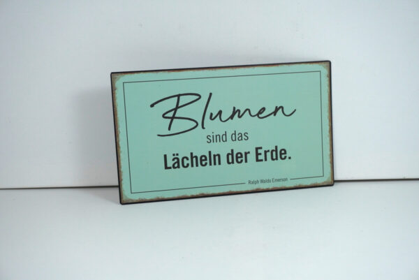 Deko Blechschild Wanddeko Blumen sind das Lächeln der Erde