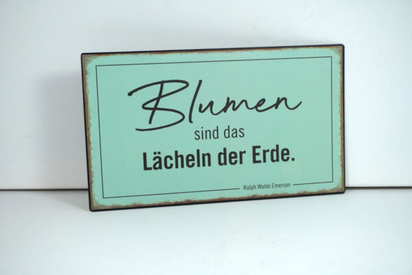Deko Blechschild Wanddeko Blumen sind das Lächeln der Erde