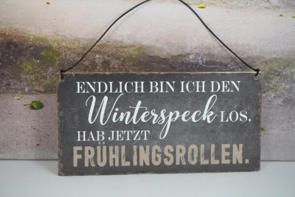 Deko Blechschild Endlich Bin Ich Den Winterspeck Los. Hab Jetzt Frühlingsrollen.