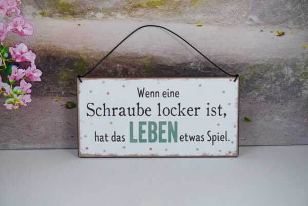 Deko Blechschild Wenn eine Schraube locker ist hat das Leben etwas Spiel