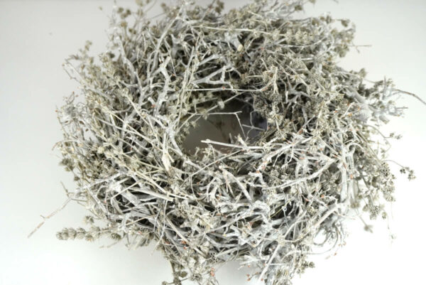 Dekokranz Naturkranz Tischkranz Bonsai Leinenkraut getrocknet Stone White 30∅
