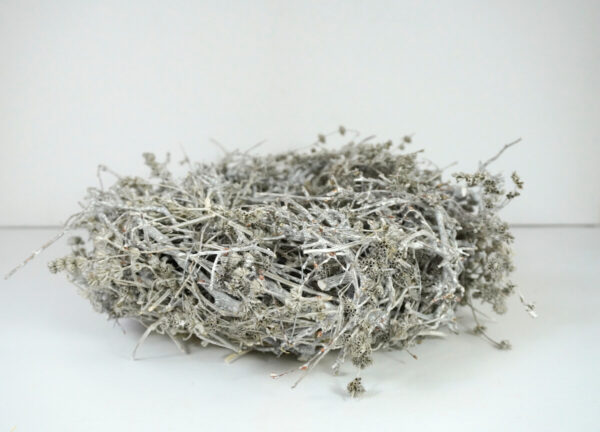 Dekokranz Naturkranz Tischkranz Bonsai Leinenkraut getrocknet Stone White 30∅