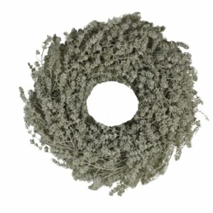 Türkranz Naturkranz Leinenkraut Misty Weiß Trocken 25 ∅
