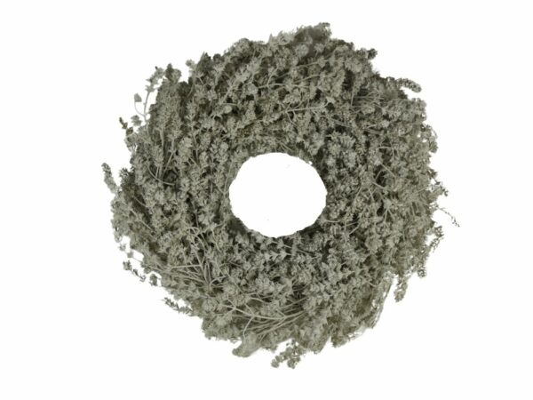 Türkranz Naturkranz Leinenkraut Misty Weiß Trocken 25 ∅