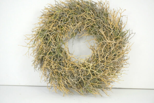 Naturkranz Wandkranz Iron Bush getrocknet Grün 30cm ∅