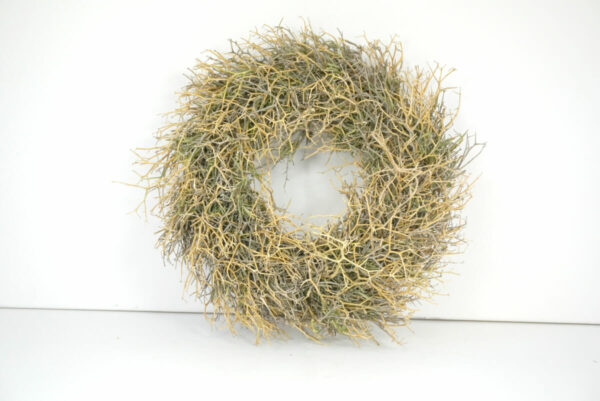 Naturkranz Wandkranz Iron Bush getrocknet Grün 30cm ∅