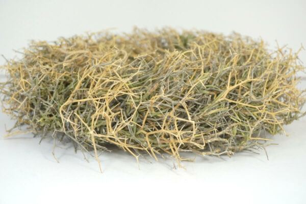 Naturkranz Wandkranz Iron Bush getrocknet Grün 30cm ∅
