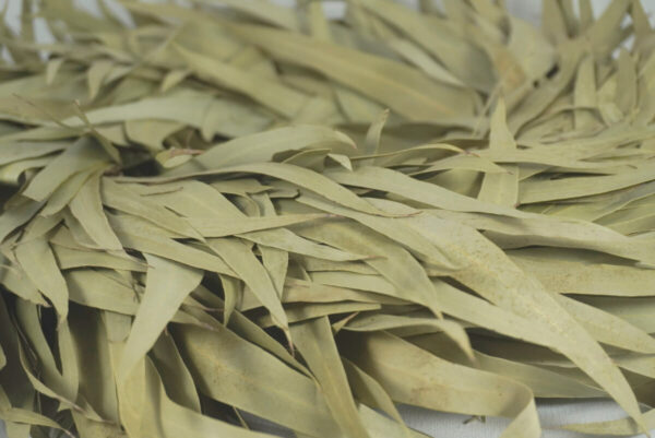 Couronne Eucalyptuskranz Naturkranz Wreath long leaves 35cm ∅