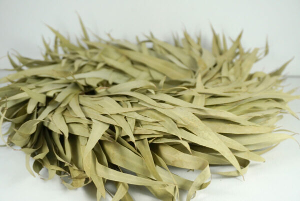Couronne Eucalyptuskranz Naturkranz Wreath long leaves 35cm ∅