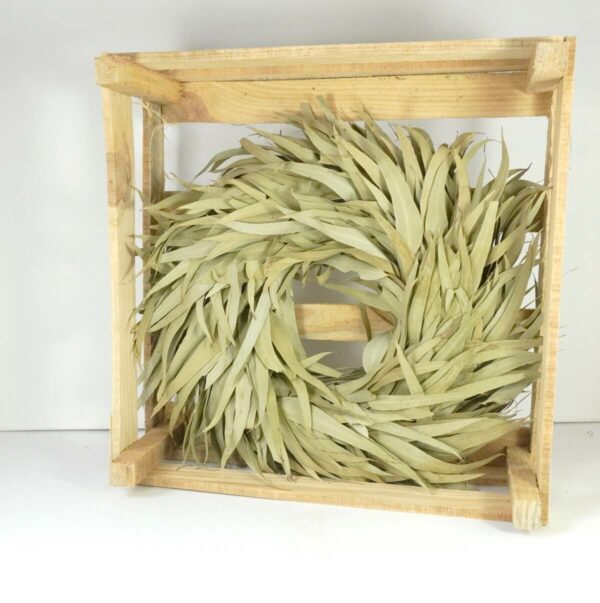 Couronne Eucalyptuskranz Naturkranz Wreath long leaves 35cm ∅