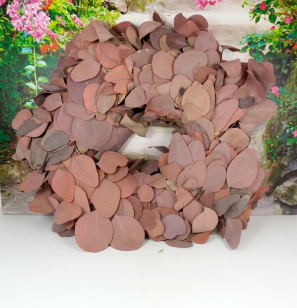 Couronne Eucalyptuskranz Naturkranz Wreath populus 38cm ∅