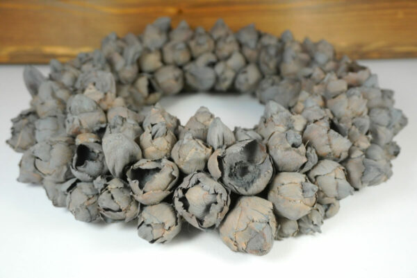 Couronne Türkranz Naturkranz Coco Fruit Trocken Wreath Grey 30 ∅