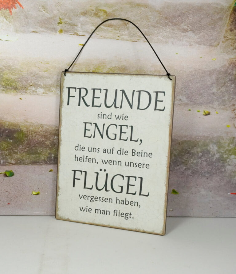 Deko Blechschild Wanddeko Freunde sind wie Engel die uns auf die Beine