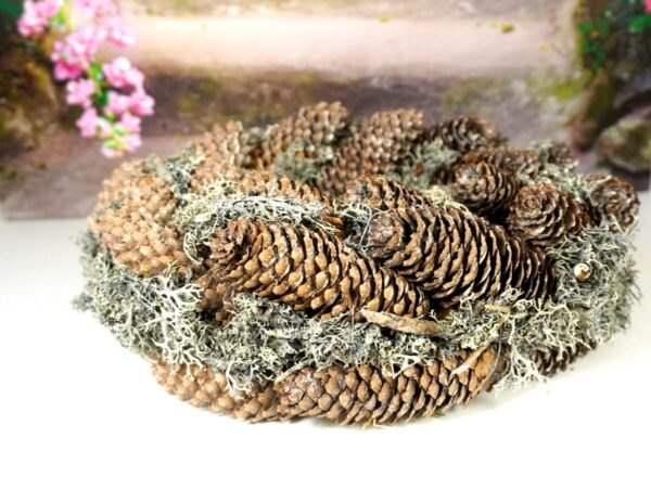 Deko Naturkranz Mooskranz Tischkranz Zapfen Natur 30 cm ∅