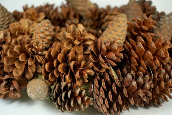 Deko Naturkranz Tischkranz Herbstkranz Zapfen Mix Natur 28 cm ∅