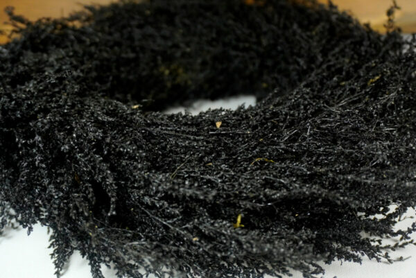 Deko Naturkranz Tischkranz Solidago wreath black 28cm ∅