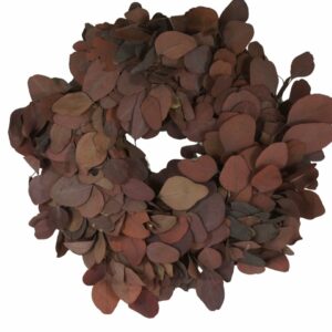 Couronne Eucalyptuskranz Naturkranz Wreath populus 38cm ∅